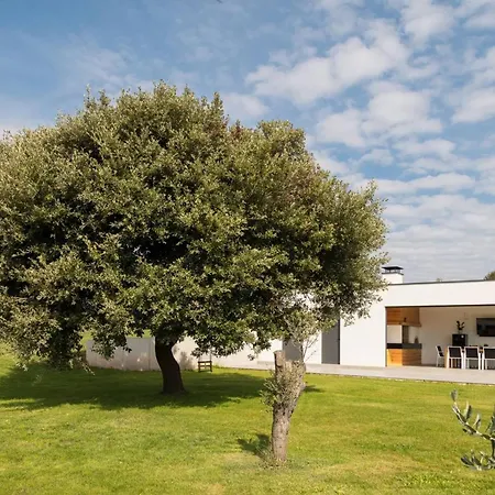 Luxury Deluxe With Heated Pool In Istria Vila *